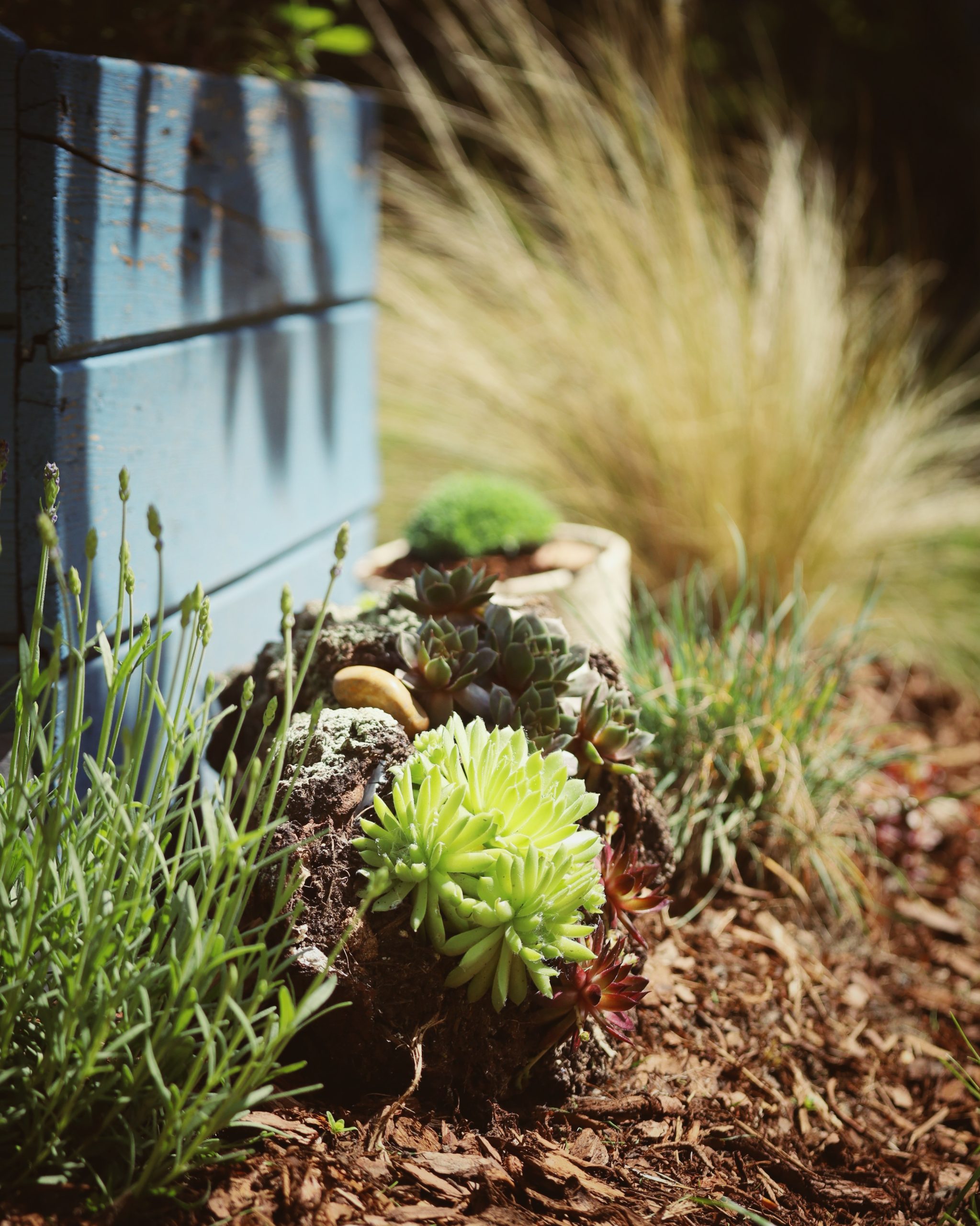 jardinería ecológica Contechobio